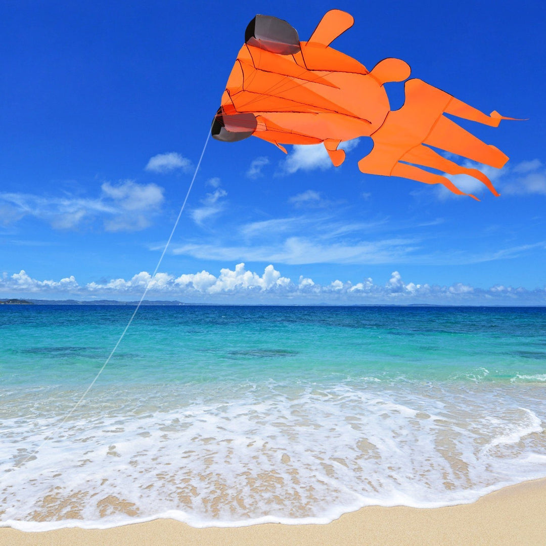 3D Kite Frameless Soft Giant and Parafoil Image 10