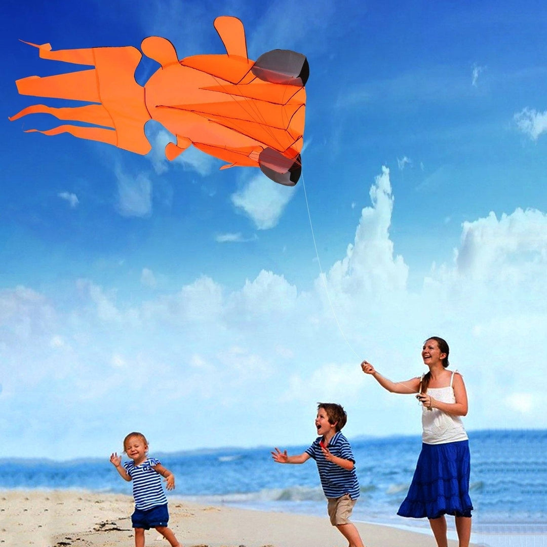 3D Kite Frameless Soft Giant and Parafoil Image 11