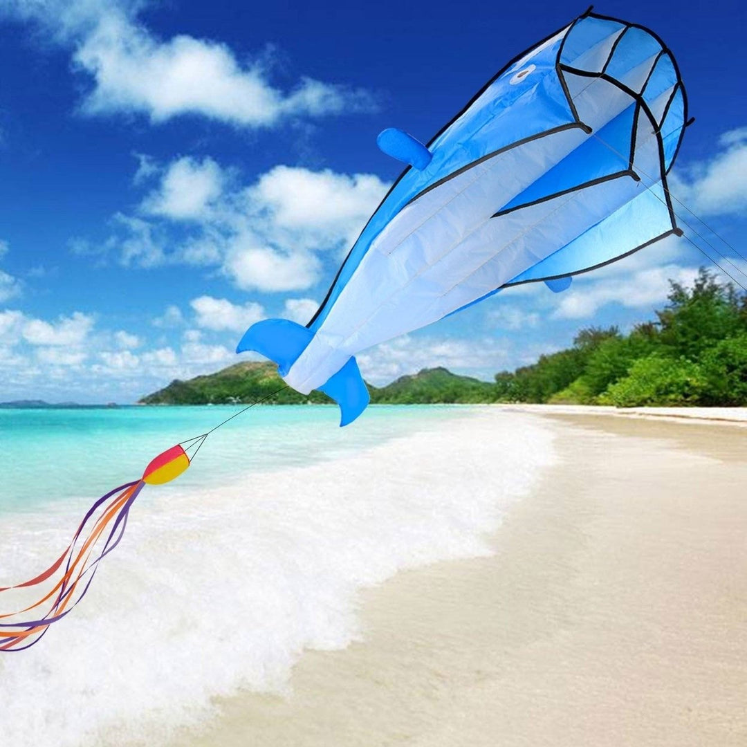 3D Kite Huge Frameless Soft Parafoil Giant Dolphin Image 4