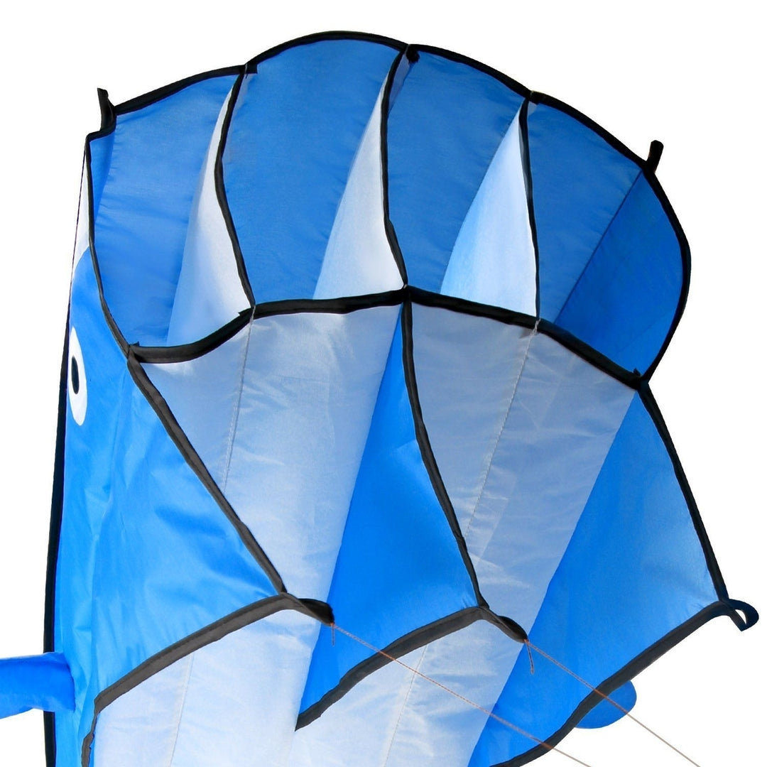 3D Kite Huge Frameless Soft Parafoil Giant Dolphin Image 9