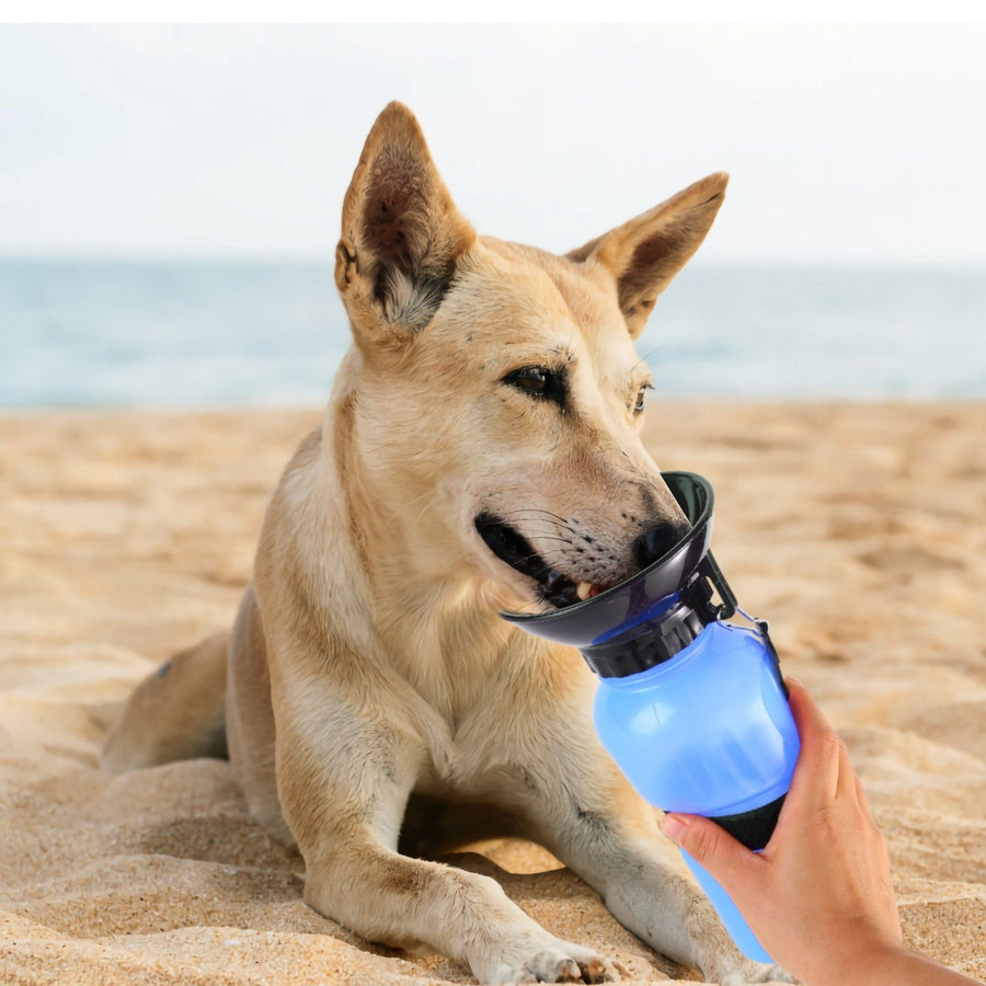 500ml Pet Water Bottle Portable Water Cup Image 1