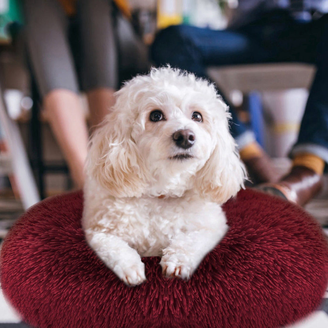 Dog Cozy Nest Sofa Bed Cushion Image 10