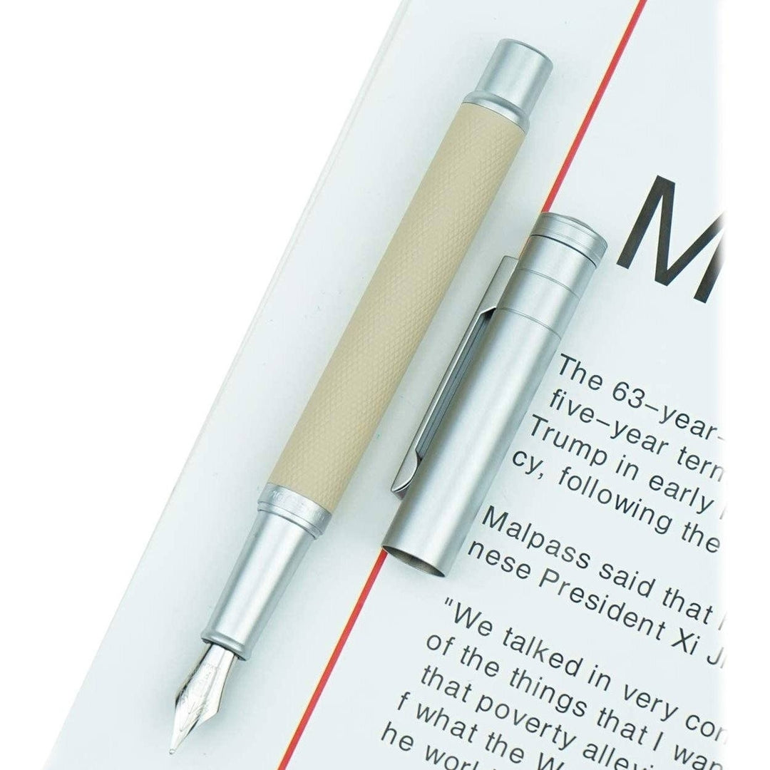 Hongdian Silver Birch Forest Fountain Pen Image 9