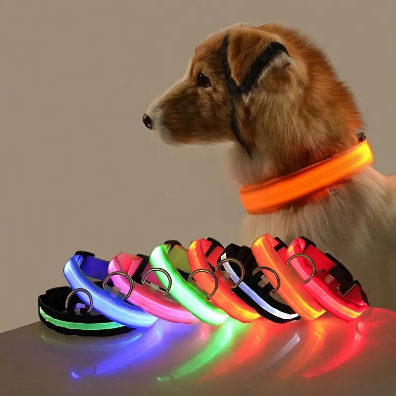 LED Dog Collars Light Adjustable Flashing Luminous Collar Night Anti-Lost Image 1