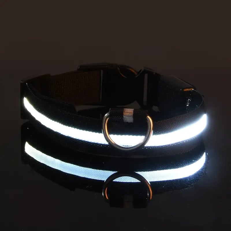 LED Dog Collars Light Adjustable Flashing Luminous Collar Night Anti-Lost Image 2