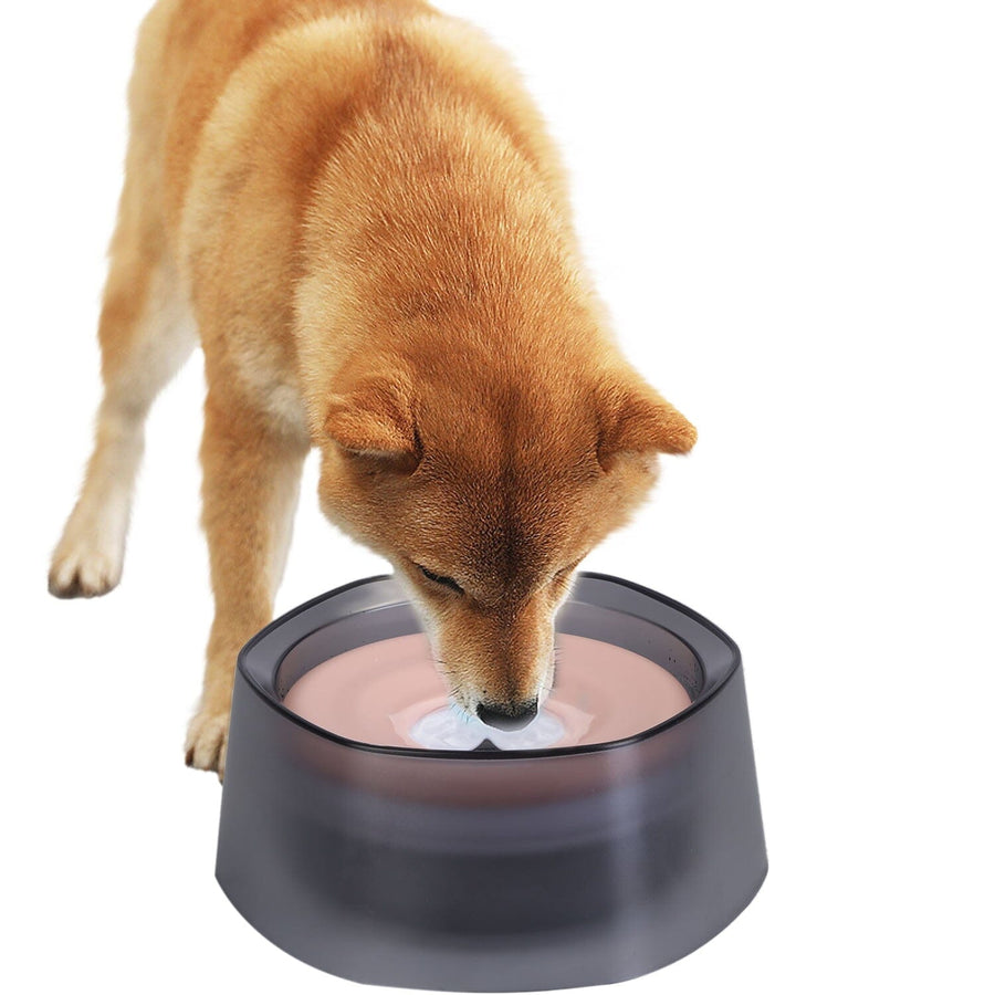 No Spill Dog Cat Water Bowl Spill Proof Slow Water Feeder Image 1