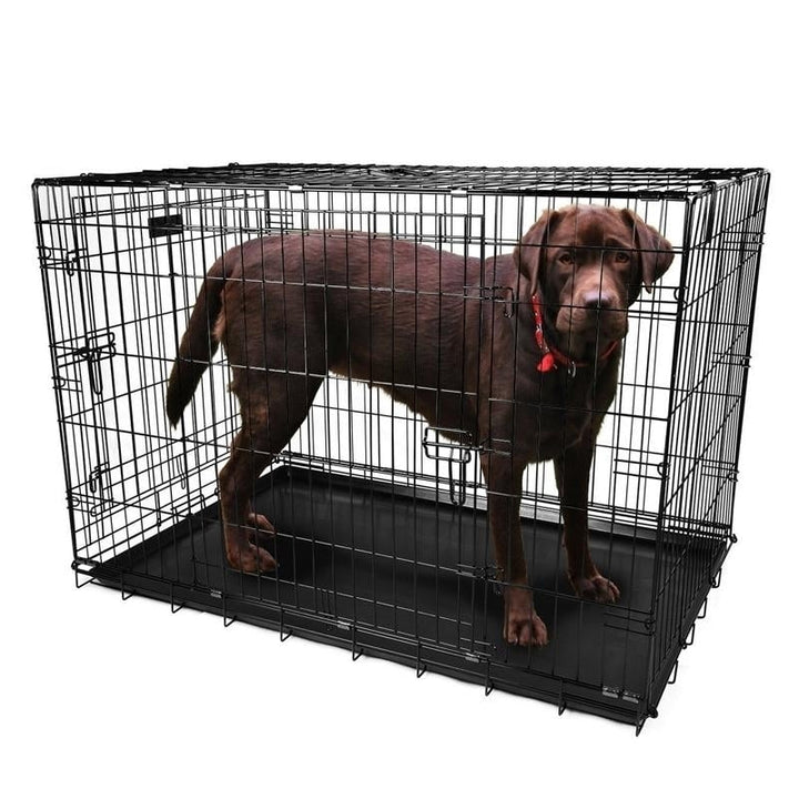 Pet Crates Folding Metal - Assorted Sizes Image 11