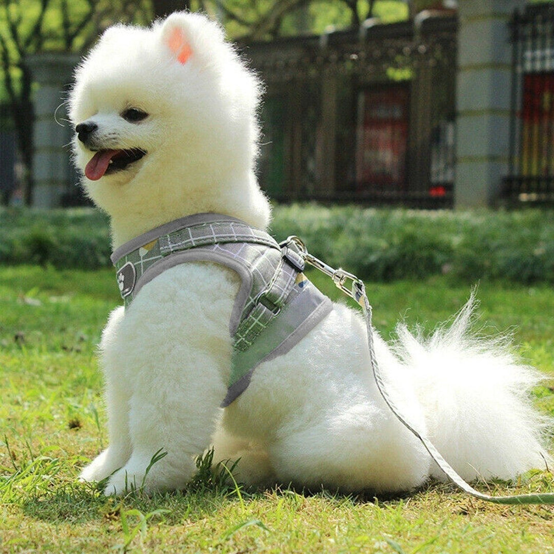 Pet Mesh Harness Dog Leash Puppy Vest Image 12