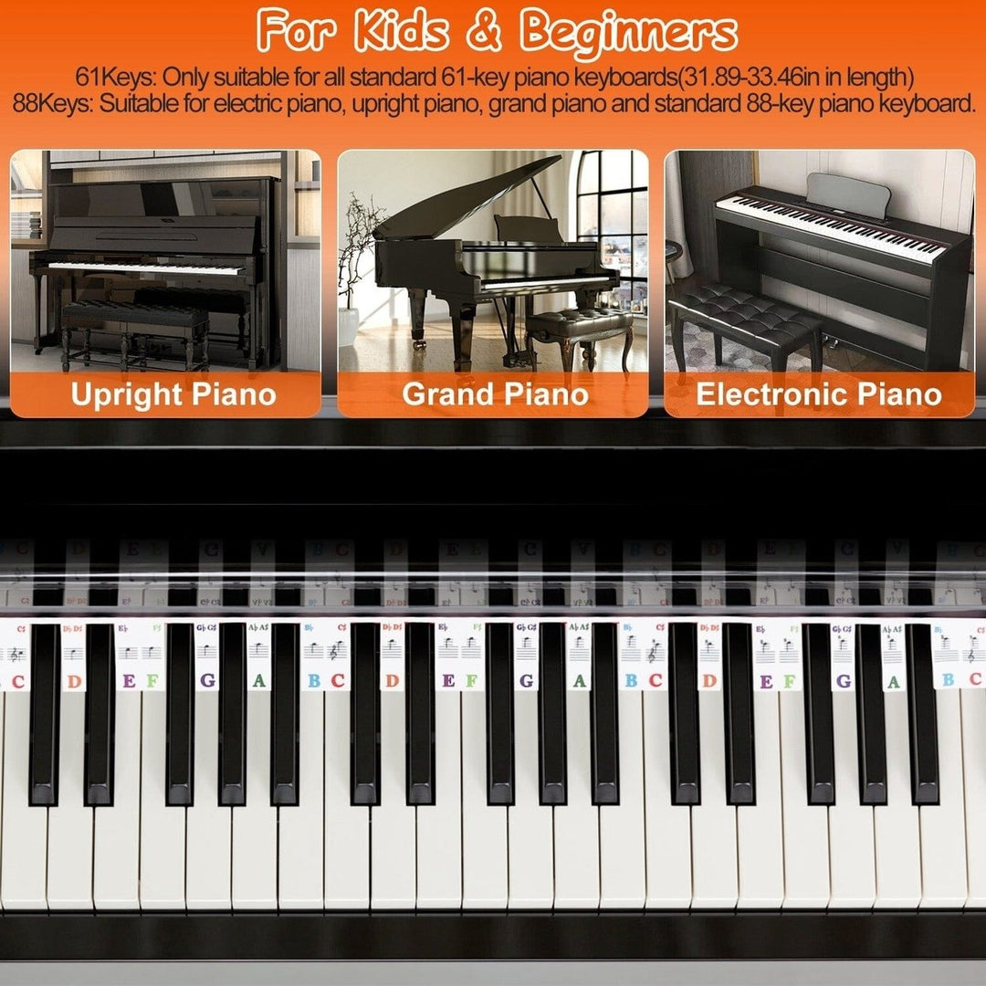 Removable PVC Piano Keyboard Stickers Image 12