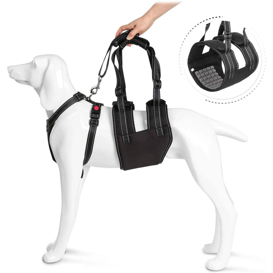 Support Harness Set Adjustable Chest Sling Strap for Elderly Disable Dog Image 1