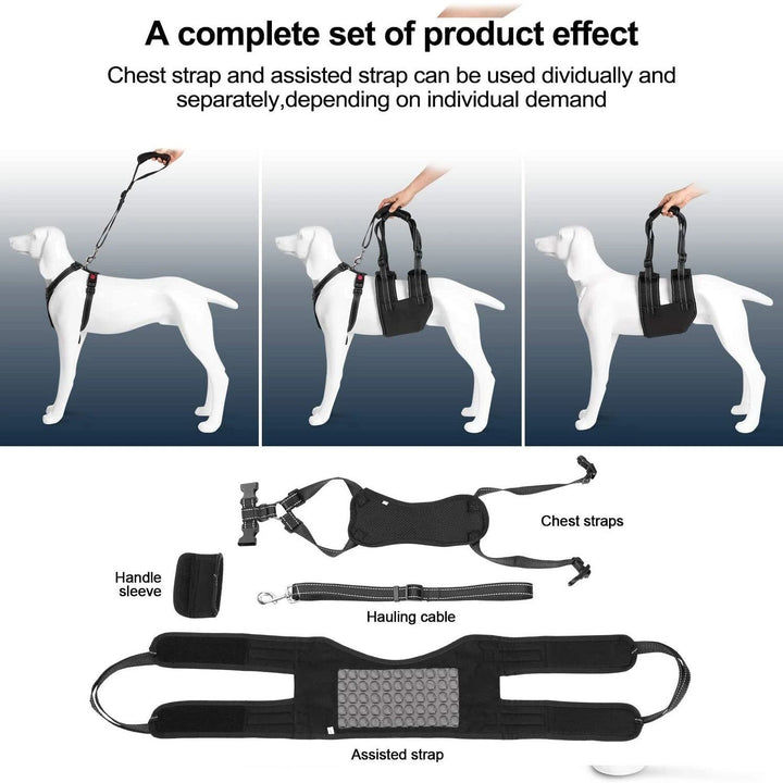 Support Harness Set Adjustable Chest Sling Strap for Elderly Disable Dog Image 6