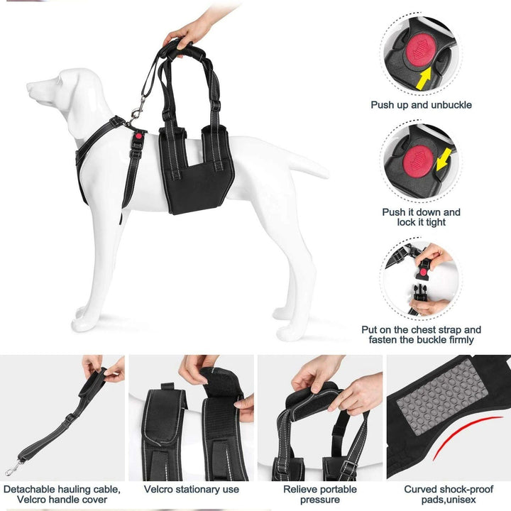 Support Harness Set Adjustable Chest Sling Strap for Elderly Disable Dog Image 10