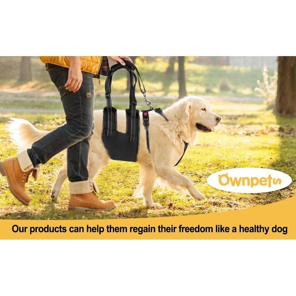 Support Harness Set Adjustable Chest Sling Strap for Elderly Disable Dog Image 11