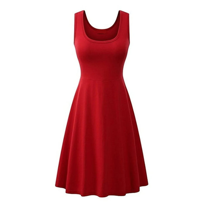 Womens Swing Knee Length Dress Image 1