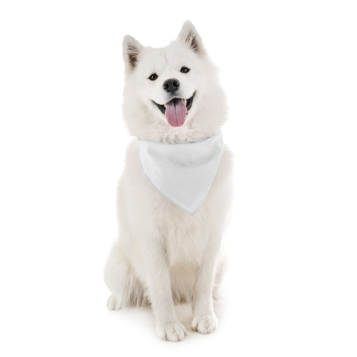 Pack of 18 Regular Size Cotton Dog Bandanas Solid Colors Image 3