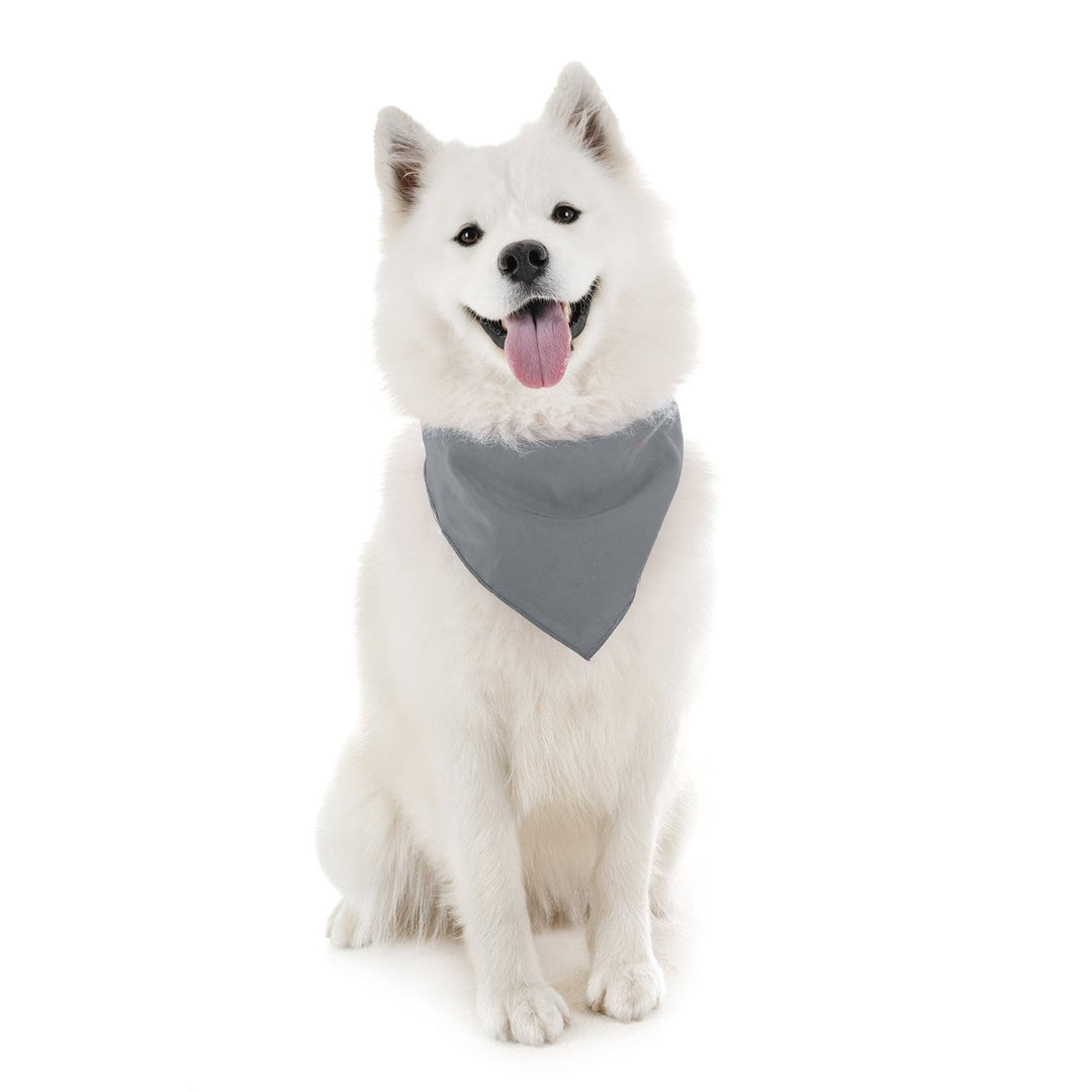 Pack of 18 Regular Size Cotton Dog Bandanas Solid Colors Image 9