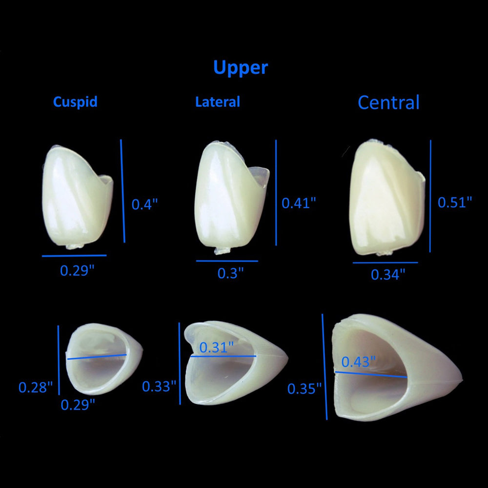 PIORPOY 50 Pcs/Box Dental Temporary Crown Kit Anterior Front Molar Posterior Teeth Veneers Dentistry Tooth Whitening Image 4