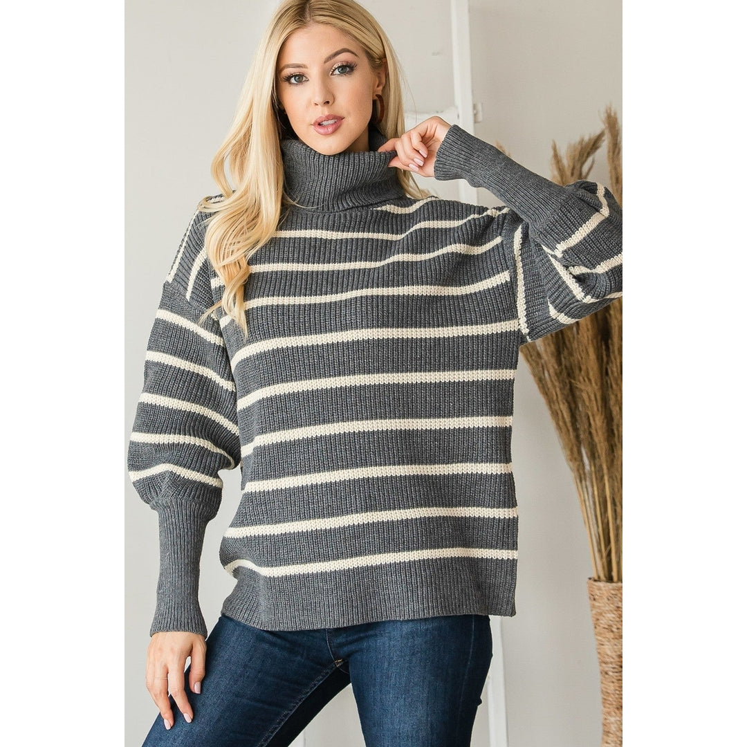 Heavy Knit Striped Turtle Neck Knit Sweater Image 3