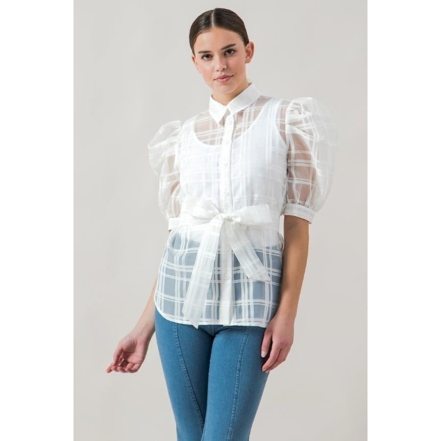 A See-thru Mini Length Organza Top Image 1