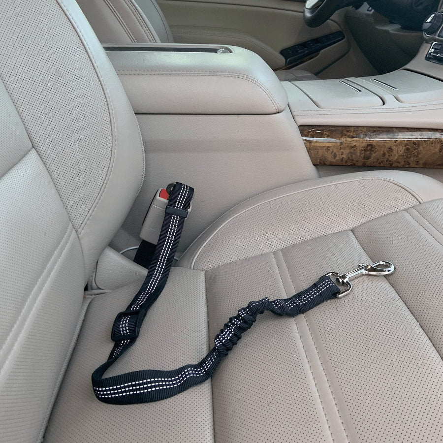 Car Elastic Safety Leash Image 1