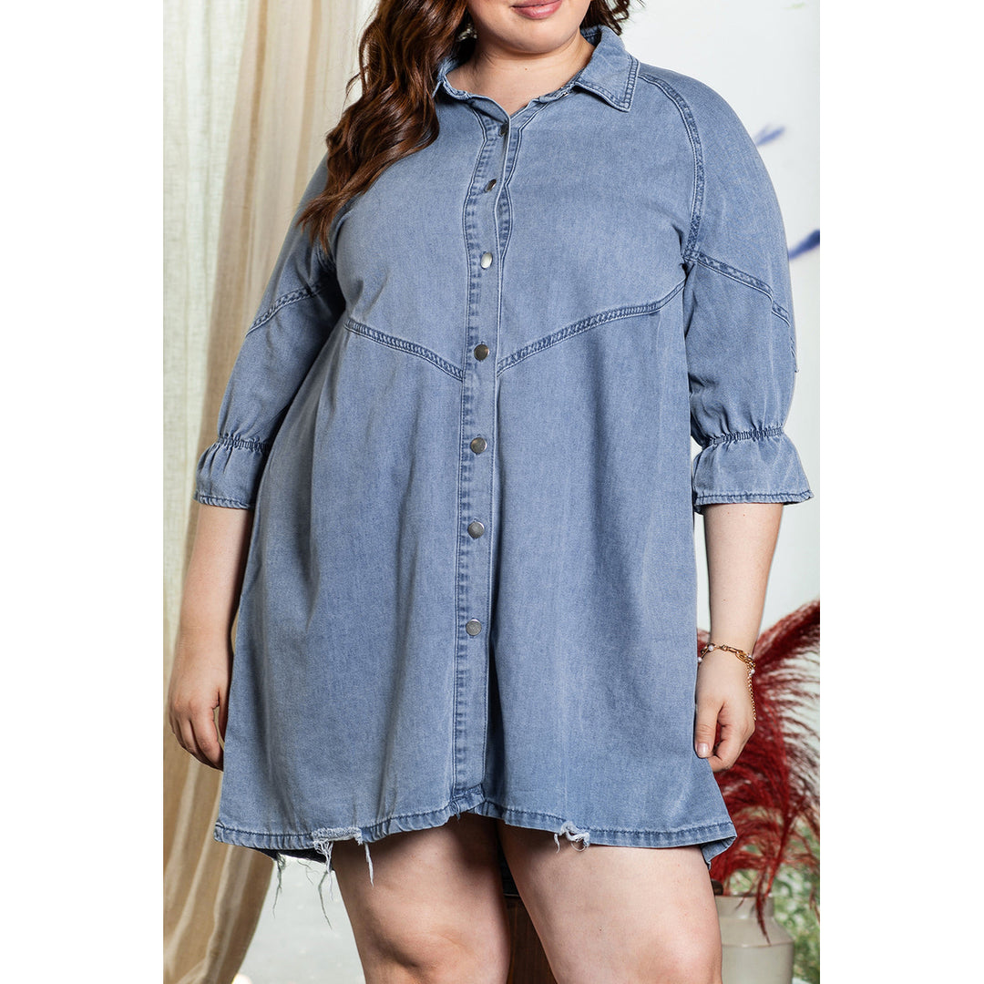 Adley Ruffled 3/4 Sleeve Buttoned Front Plus Size Denim Dress Image 1