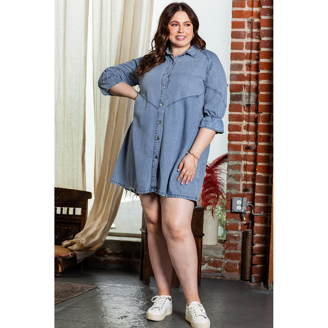 Adley Ruffled 3/4 Sleeve Buttoned Front Plus Size Denim Dress Image 6