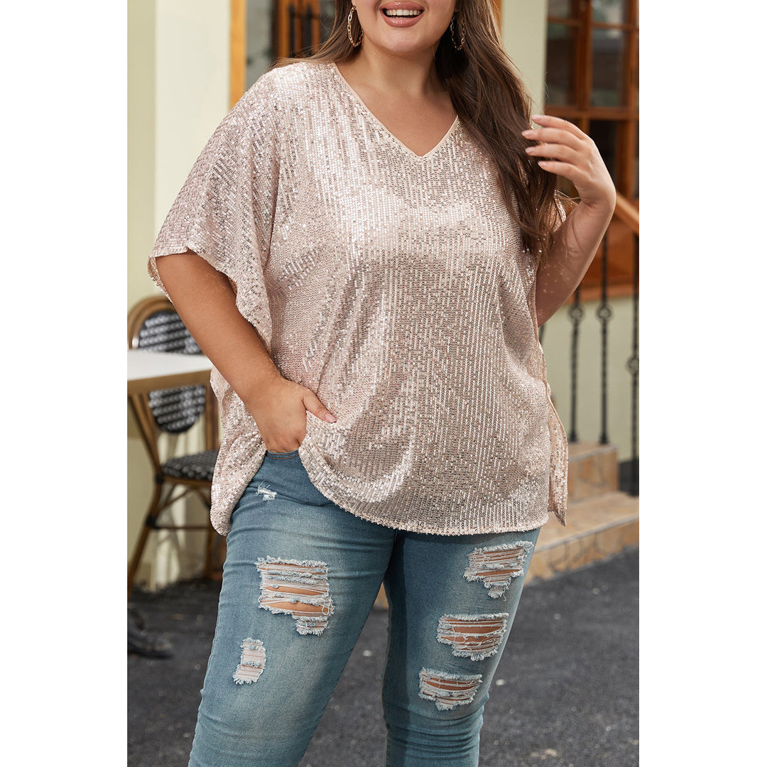 Aileen Plus Size Sequined V Neck Boxy Top Image 1