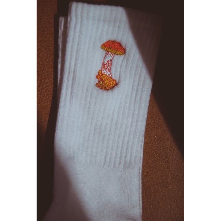 Embroidered Socks Image 1