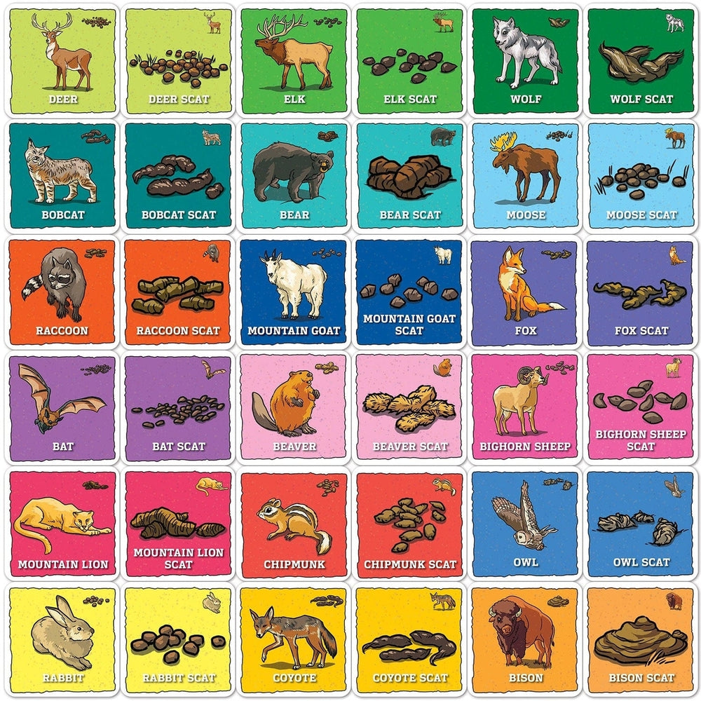 Jr. Ranger Animal Poop Matching Game by MasterPieces for Family Game Night Image 2