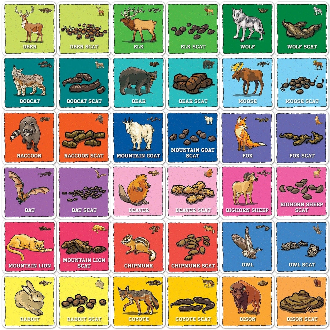 Jr. Ranger Animal Poop Matching Game by MasterPieces for Family Game Night Image 2