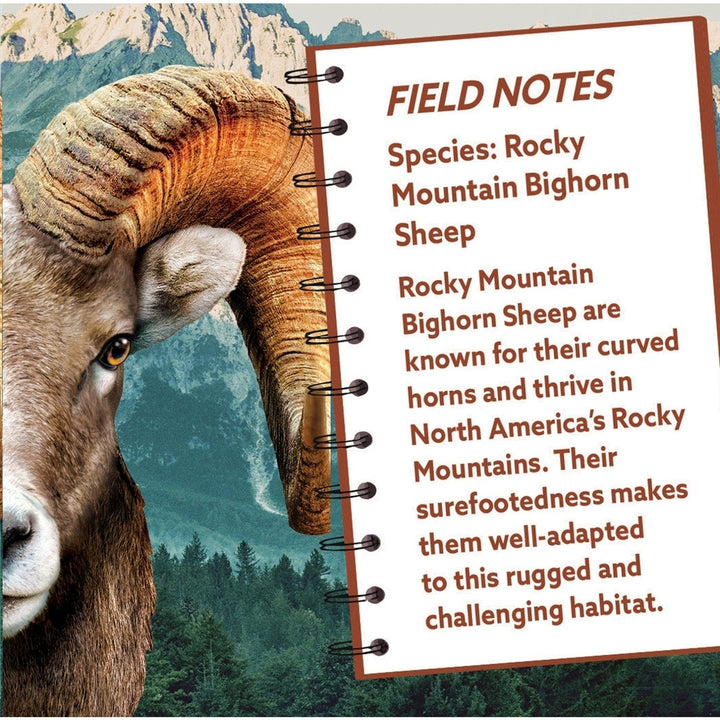 Rocky Mountain Bighorn Sheep 100 Piece Shaped Jigsaw Puzzle Eco-Friendly Board Image 3