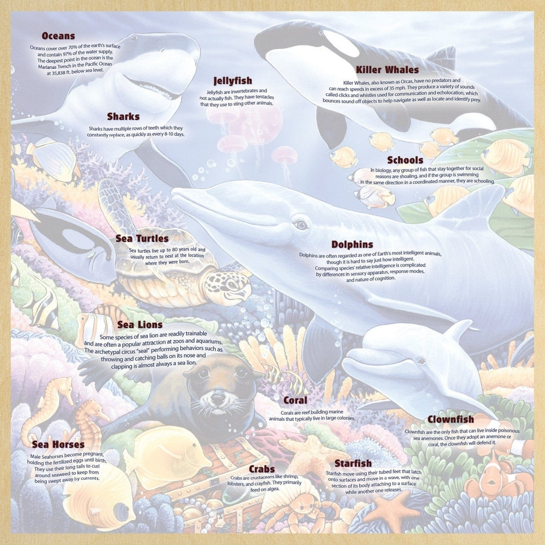 Undersea Friends 48 Piece Jigsaw Puzzle Wood Fun Facts 11x11 Explore Ocean Life Image 4