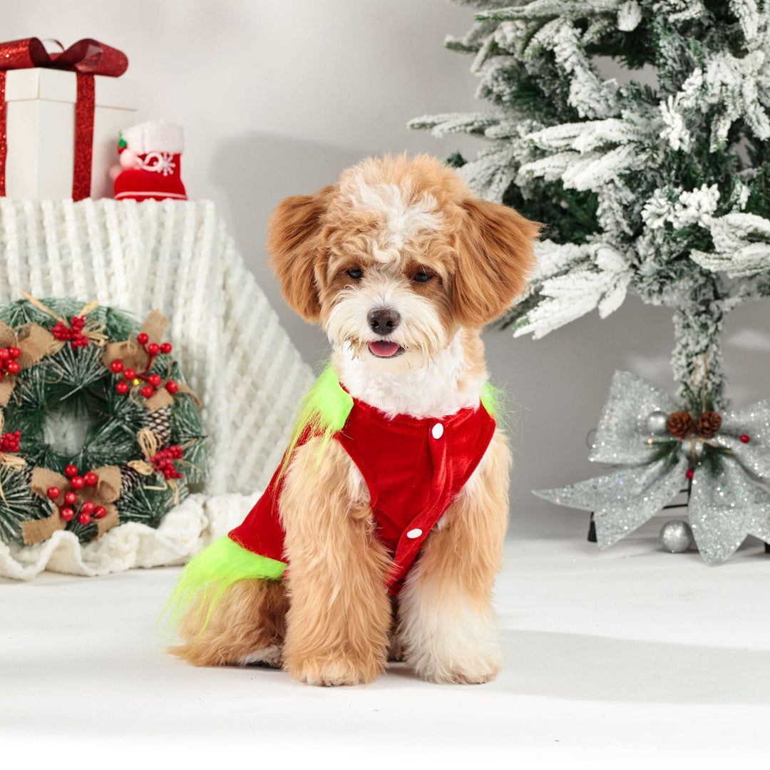 Christmas Dog Clothes for Dogs Cats Pet Dress-up As A Green Character Outfit Holiday Cosplay Party Costume for Photos Image 2