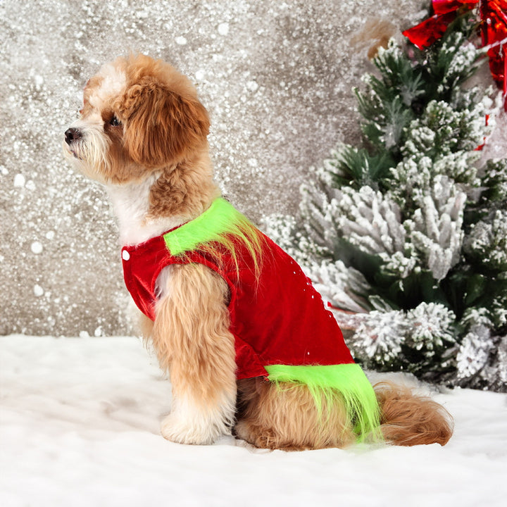 Christmas Dog Clothes for Dogs Cats Pet Dress-up As A Green Character Outfit Holiday Cosplay Party Costume for Photos Image 8