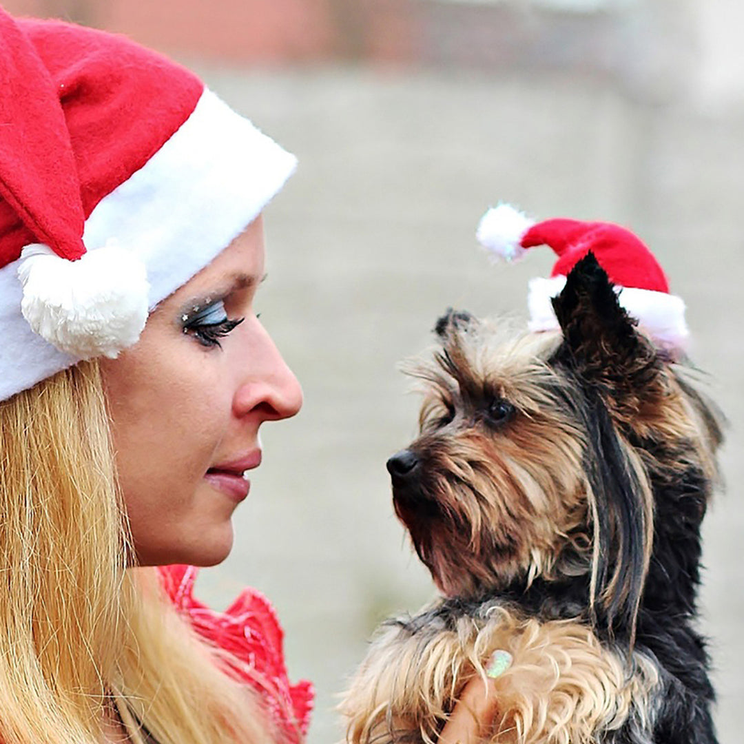 6Pcs Adorable Pet Santa Hat with Elastic Strap Comfortable to Wear Anti-fall Festive Christmas Costume Cats Dogs Pet Image 2