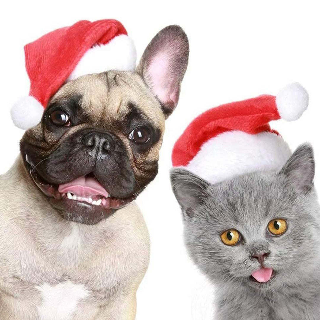 6Pcs Adorable Pet Santa Hat with Elastic Strap Comfortable to Wear Anti-fall Festive Christmas Costume Cats Dogs Pet Image 3