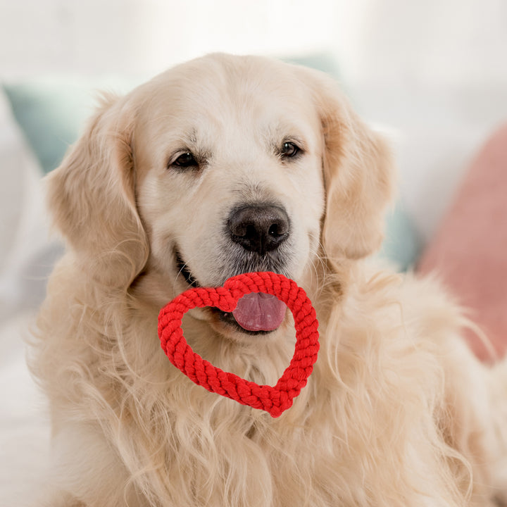 Dog Chew Toy Creative Heart Shaped Pet Chew Toy Bite-resistant Fun Cat Training Teething Toy Pet Supplies Image 11