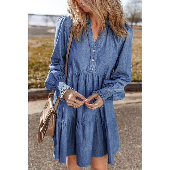 Vivian Buttoned Tiered Denim Mini Dress Image 4