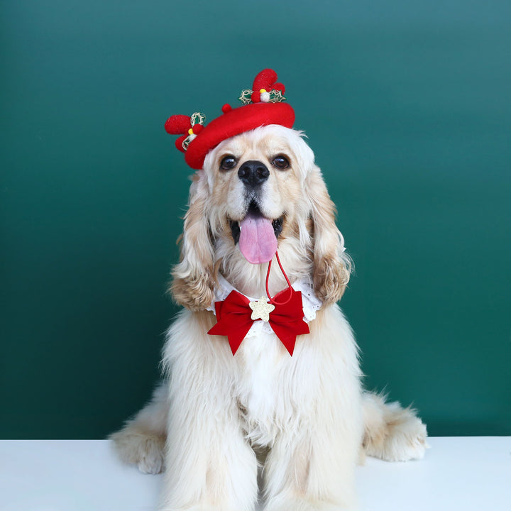 Wool Pet Beret Hat Christmas Red Cat Hat with Bow Warm Winter Holiday Costume for Daily Dressing Up Photography Outdoor Image 7