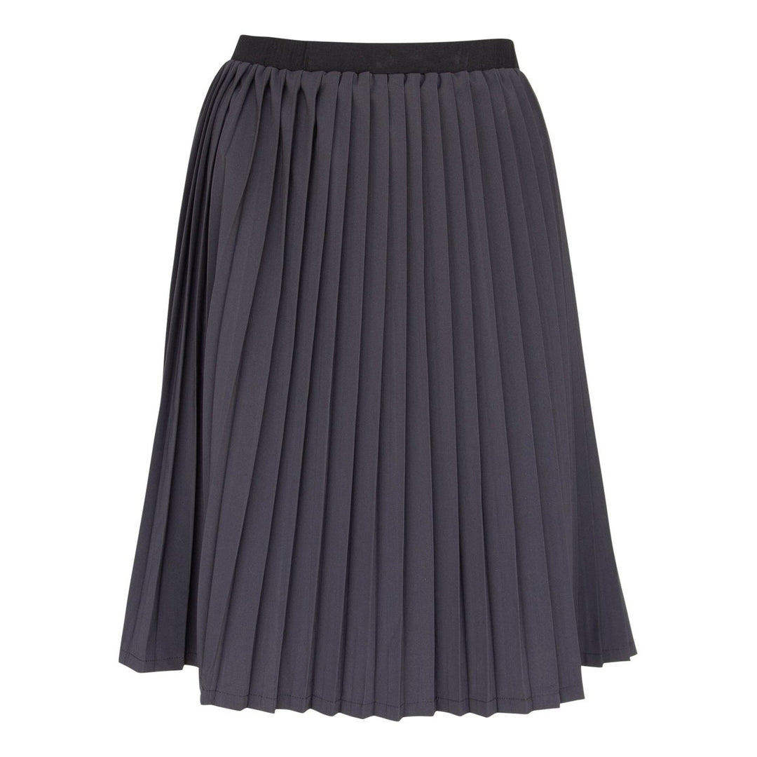 Luxe Black Pleated Skirt Image 1