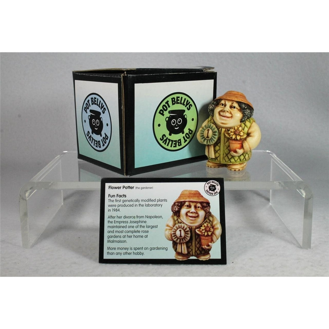 Harmony Kingdom Ball Pot Bellys / Belly - FLOWER POTTER - PBPGA -Retired NIB Image 4