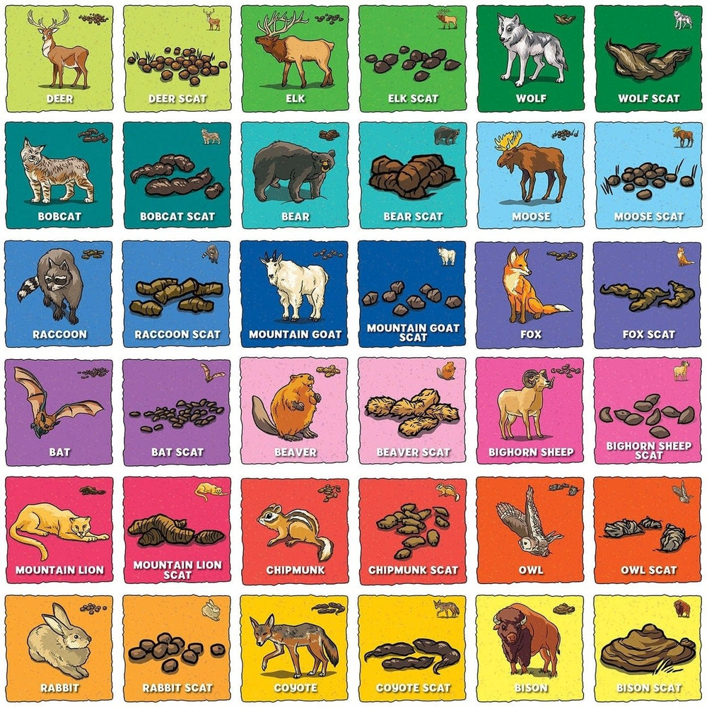 MasterPieces Animal Poop Matching Game Memory Fun Family Game Ages 3+ Image 2