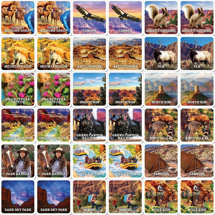 Jr Ranger Grand Canyon Adventure Matching Game Family Fun for Ages 3 Plus Image 2