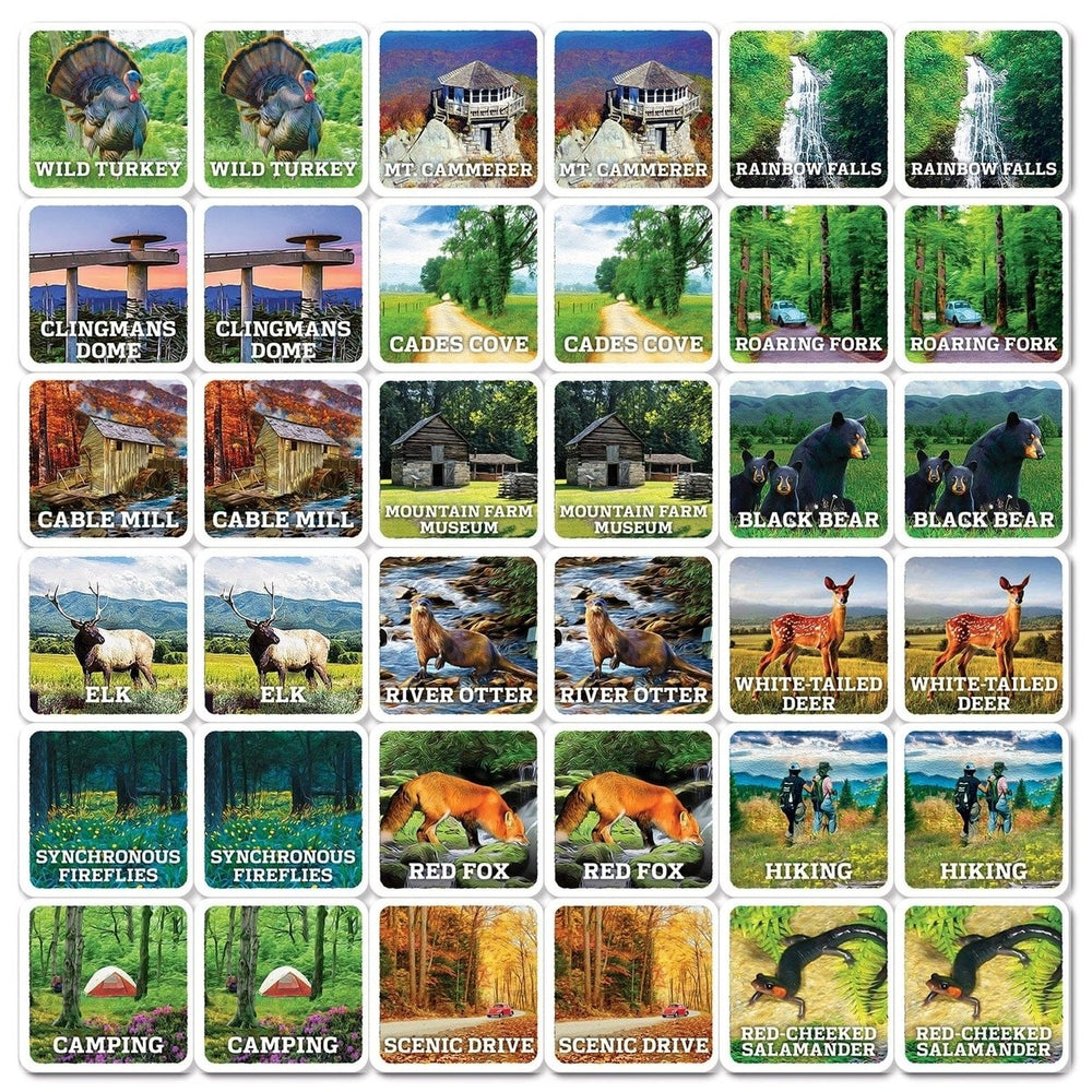 Jr Ranger Great Smoky Mountains Matching Game Family Fun Wildlife Memory Game Image 2