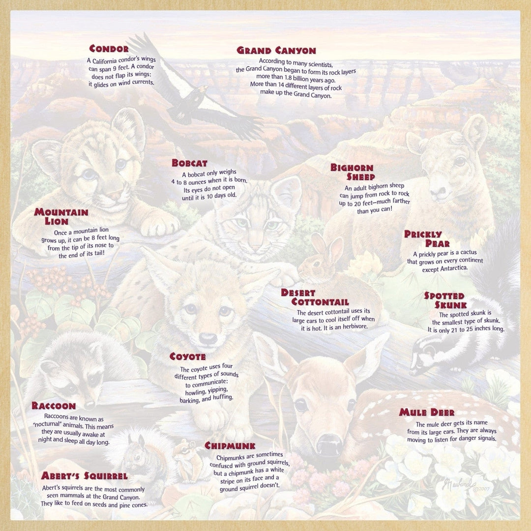 Jr. Ranger Grand Canyon Wildlife 48 Piece Wood Jigsaw Puzzle Fun Facts Kids Educational Image 4