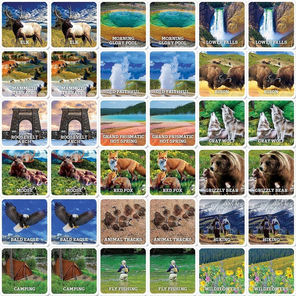 Jr Ranger Yellowstone Matching Game Wildlife Landmarks Family Fun Memory Game Image 2