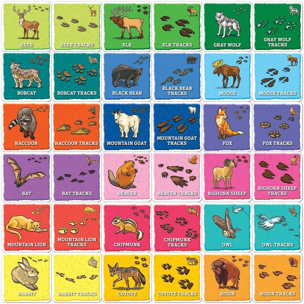 Jr Ranger Animal Tracks Matching Game Family Fun Educational Memory Game Image 2