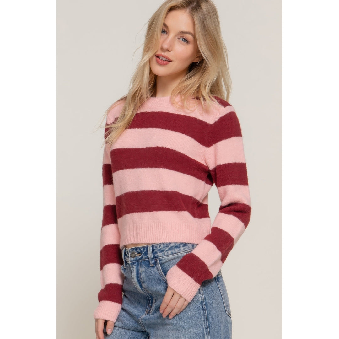 Long Slv Crew Neck Stripe Sweater Image 3