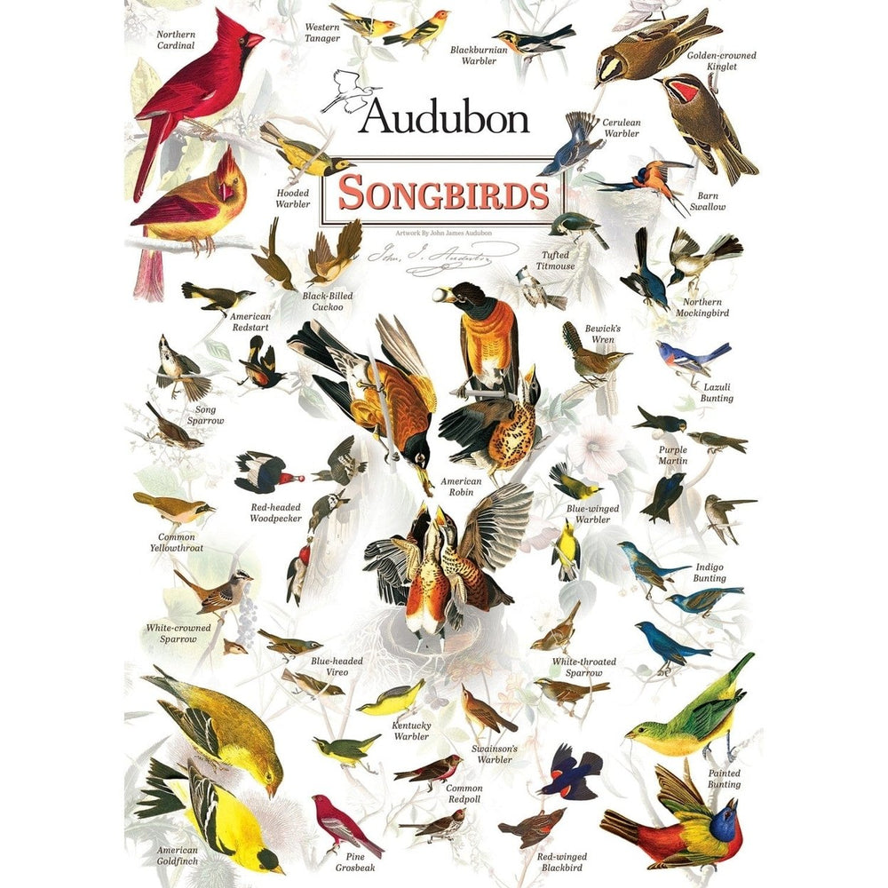 Audubon Songbirds 1000 Piece Jigsaw Puzzle Hand-Illustrated Eco-Friendly Blueboard Image 2