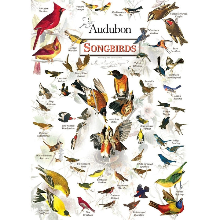 Audubon Songbirds 1000 Piece Jigsaw Puzzle Hand-Illustrated Eco-Friendly Blueboard Image 2